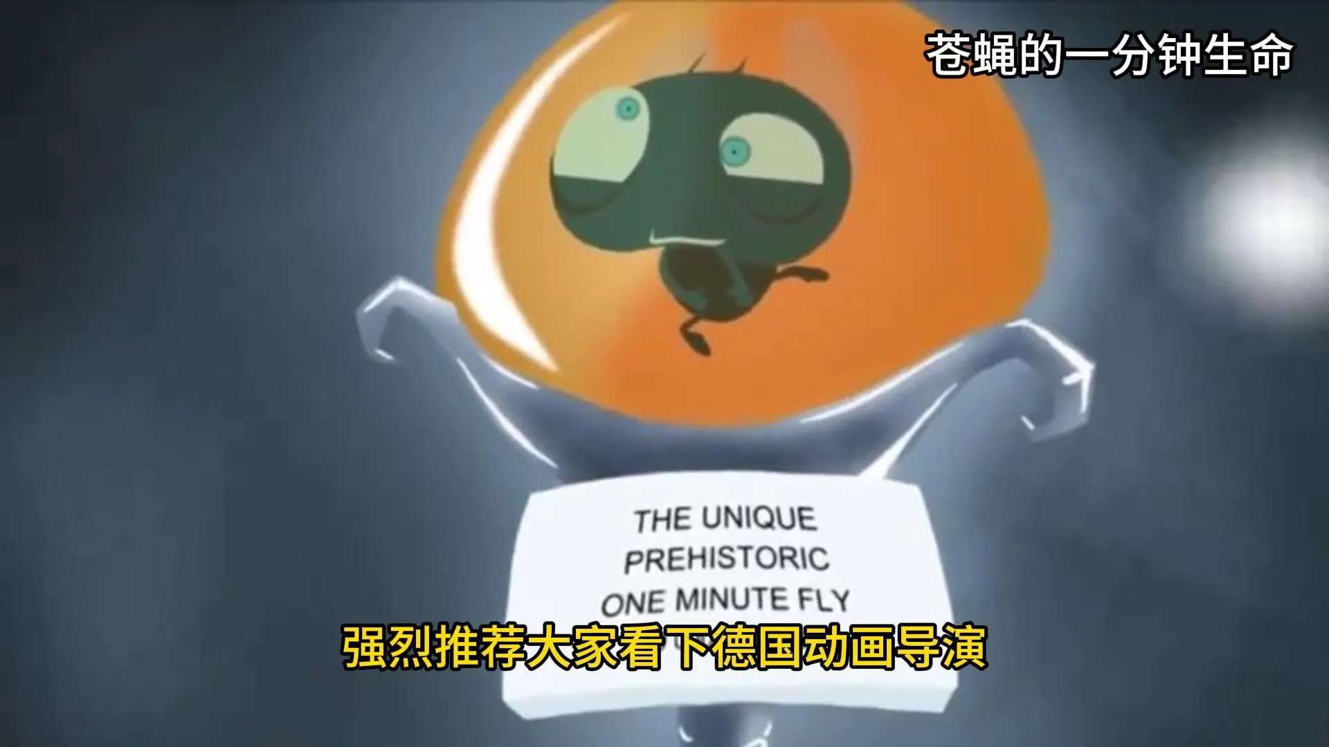 苍蝇的一生-封面